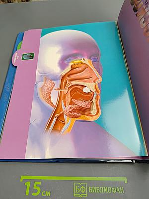 Только факты. Всегда под рукой