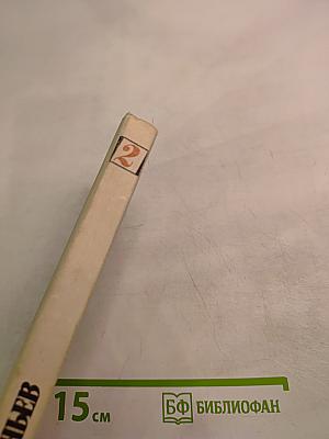 Борис Ручьев. Собрание сочинений в двух томах. Том 2. Поэмы. Письма. Из дневников и записных книжек