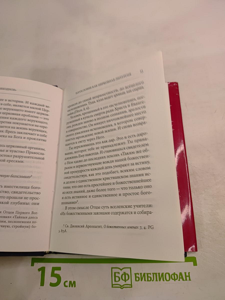 Входное: Элементы литургического опыта таинства единства в Православной Церкви