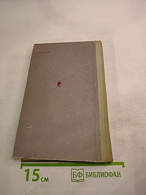 Тринадцатая Гвардейская