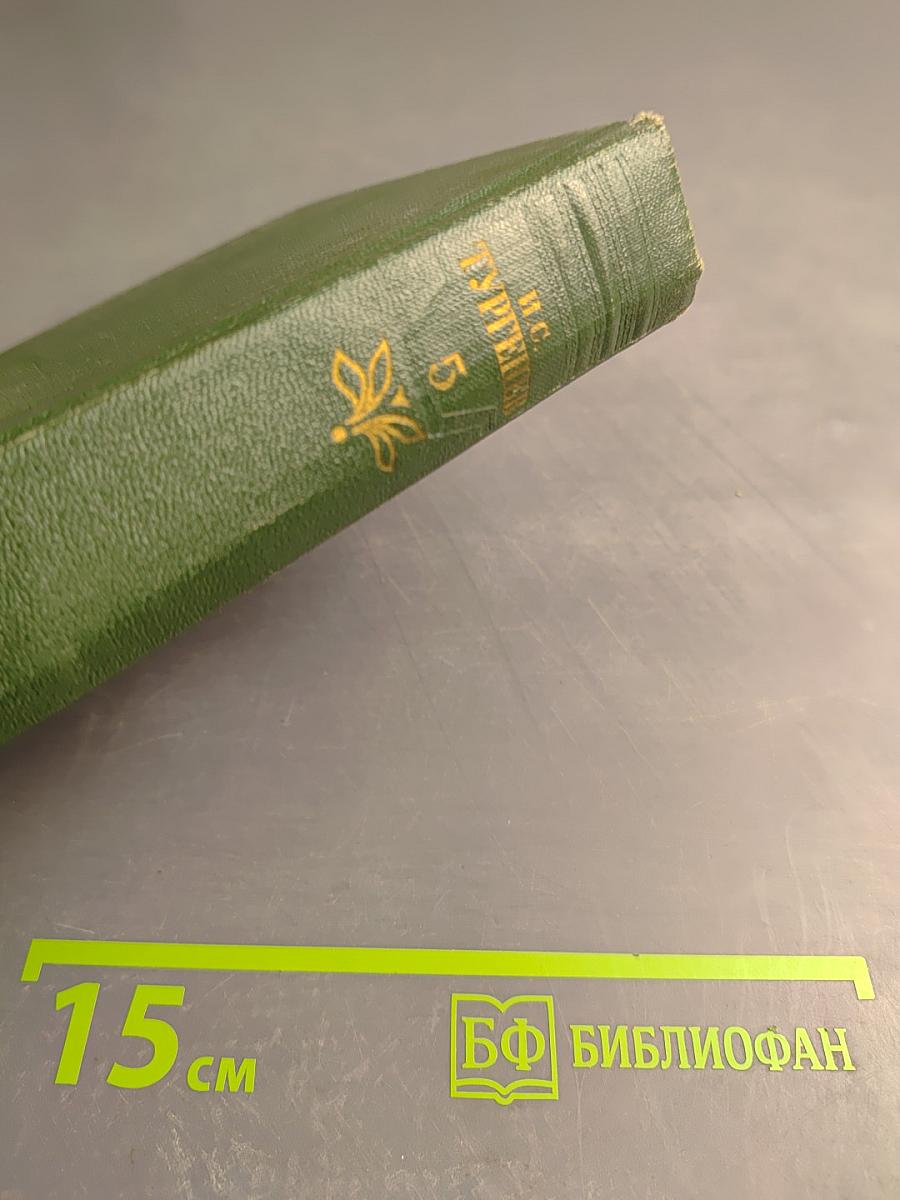 Собрание сочинений. Том 5. Повести и рассказы 1844-1855 годов