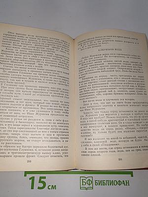 За языком до Киева