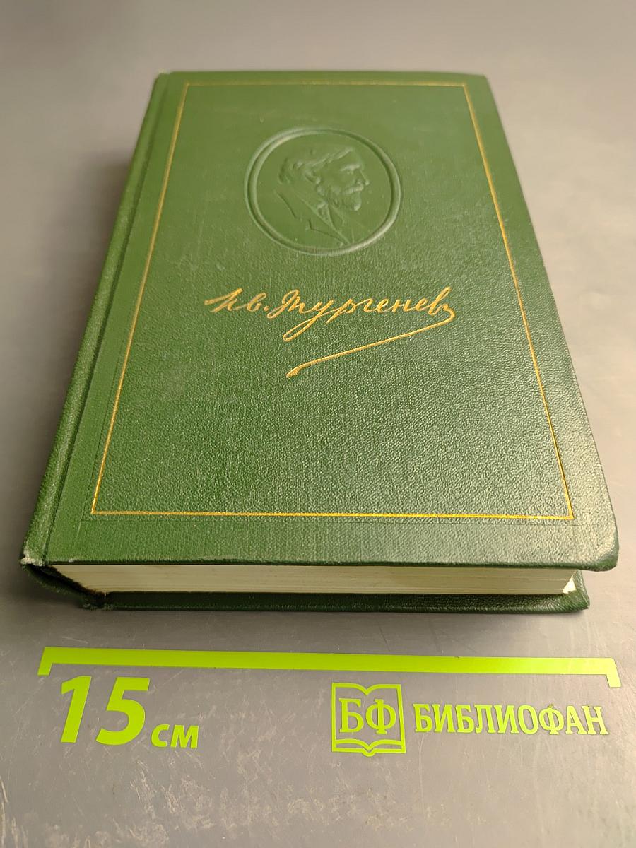 Собрание сочинений. Том восьмой. Повести и рассказы 1872-1880 годов. Стихотворения в прозе