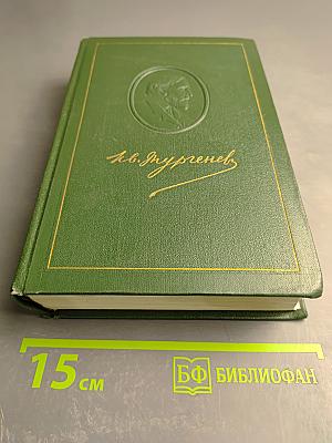 Собрание сочинений. Том восьмой. Повести и рассказы 1872-1880 годов. Стихотворения в прозе