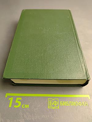 Собрание сочинений. Том восьмой. Повести и рассказы 1872-1880 годов. Стихотворения в прозе