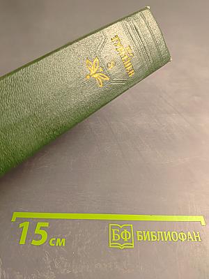 Собрание сочинений. Том восьмой. Повести и рассказы 1872-1880 годов. Стихотворения в прозе