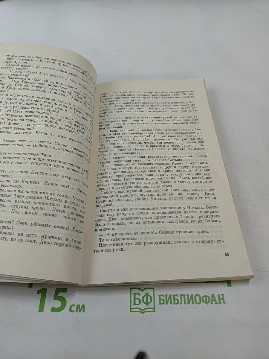 Молодая гвардия. Ежемесячный литературно-художественный и общественно-политический журнал № 6, 1979
