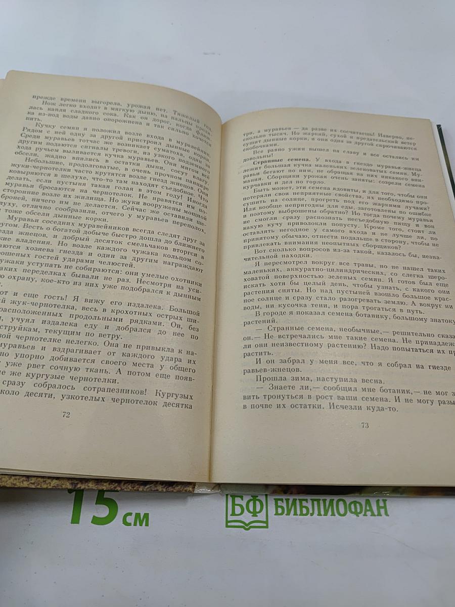 Два лика пустыни