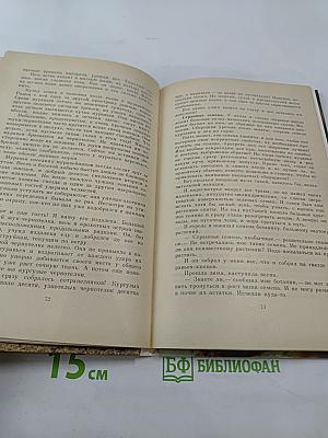 Два лика пустыни