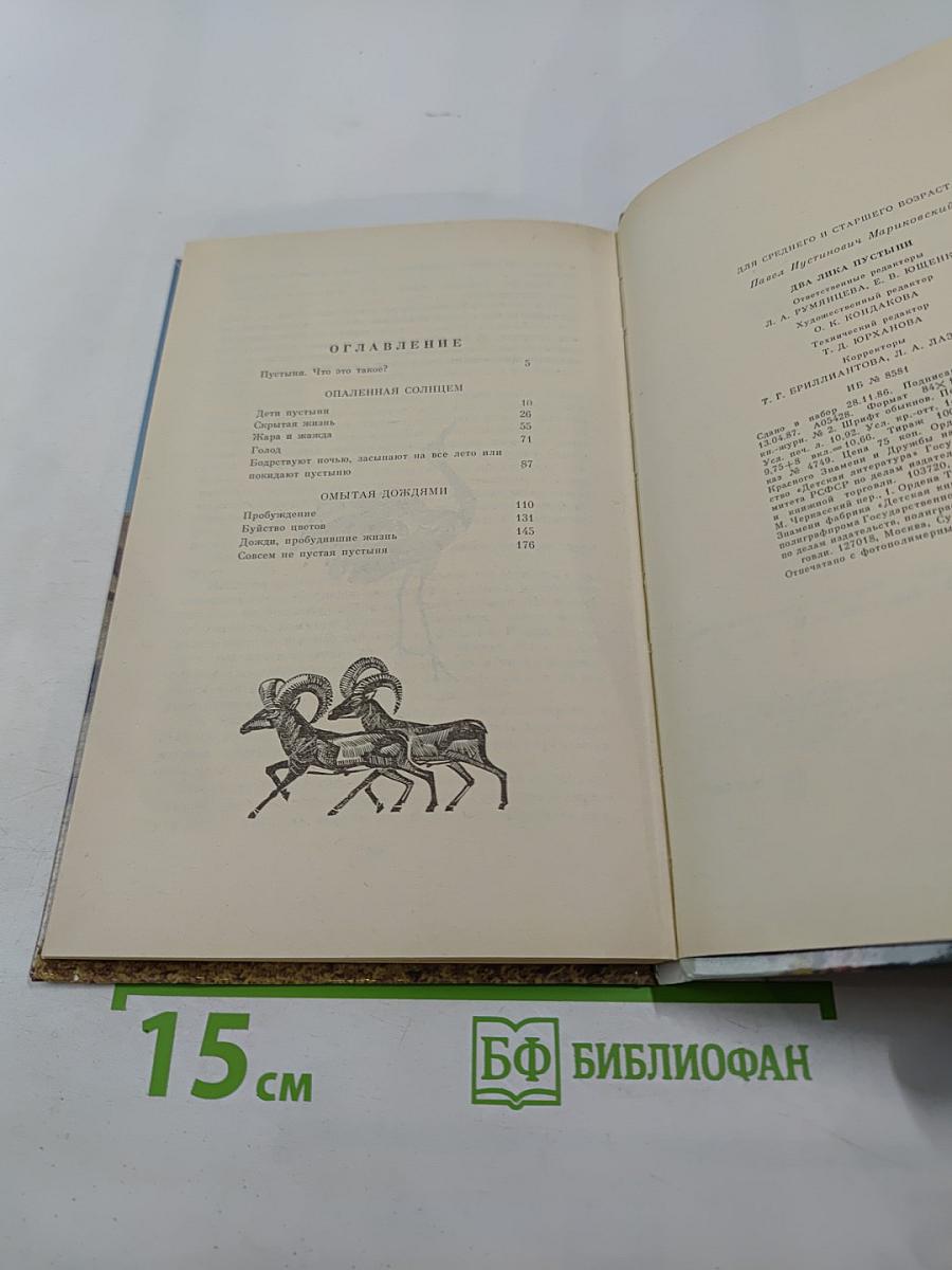 Два лика пустыни