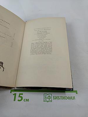 Два лика пустыни