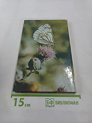 Два лика пустыни