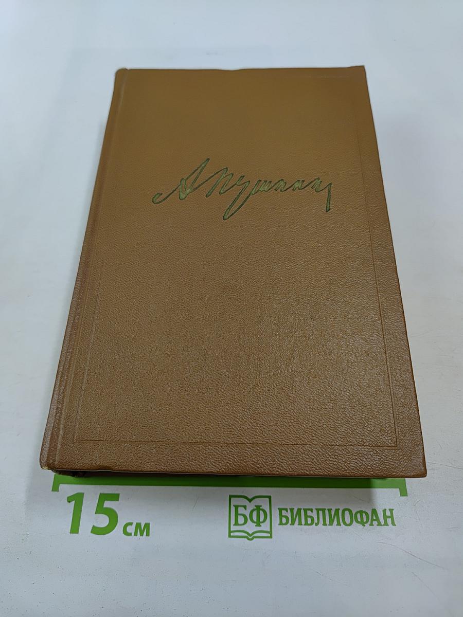 Собрание сочинений. Том шестой. Критика и публицистика