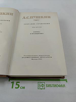 Собрание сочинений. Том шестой. Критика и публицистика