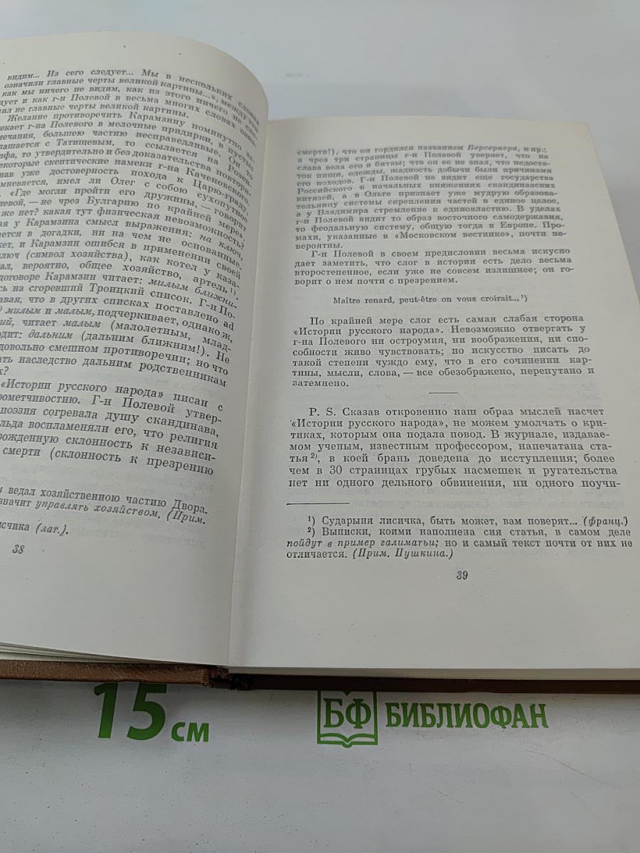 Собрание сочинений. Том шестой. Критика и публицистика