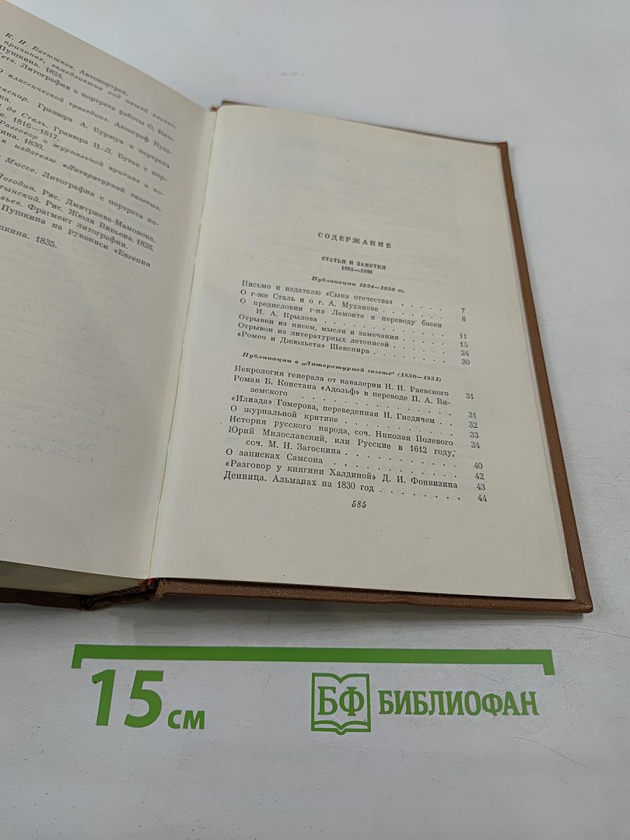 Собрание сочинений. Том шестой. Критика и публицистика