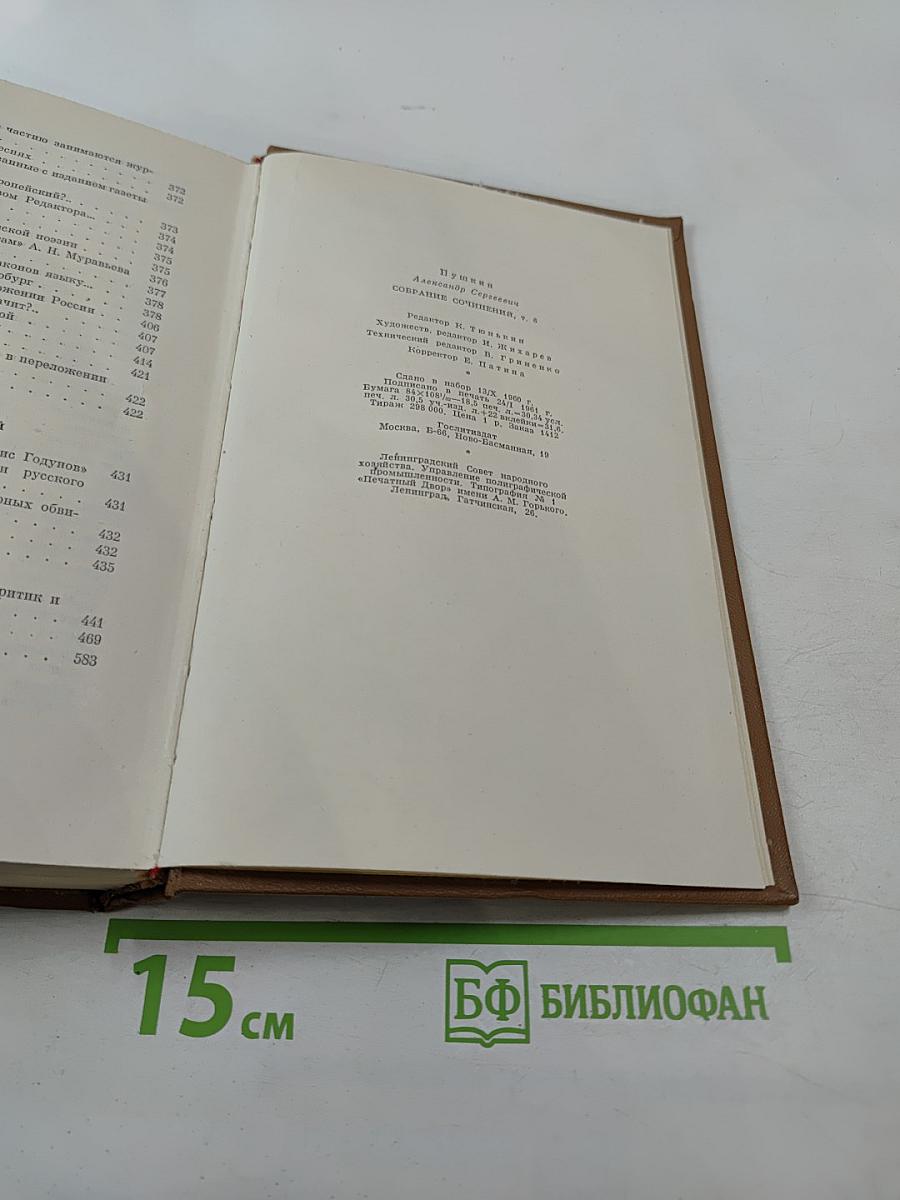 Собрание сочинений. Том шестой. Критика и публицистика