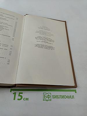 Собрание сочинений. Том шестой. Критика и публицистика