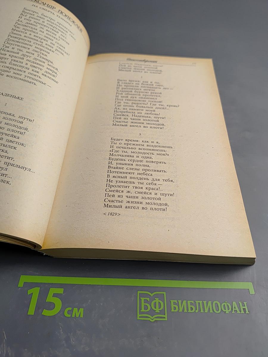 Стихотворения. Поэмы. Переводы. Воспоминания современников