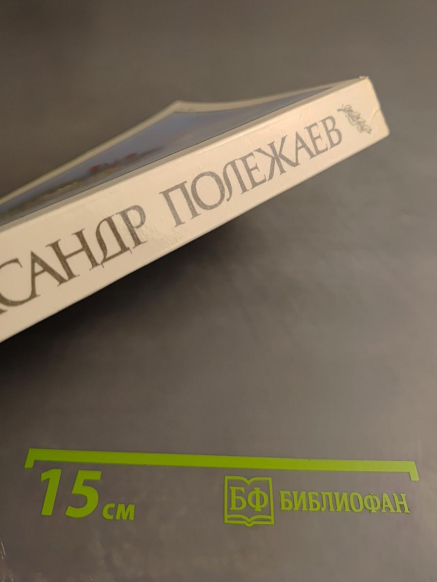 Стихотворения. Поэмы. Переводы. Воспоминания современников