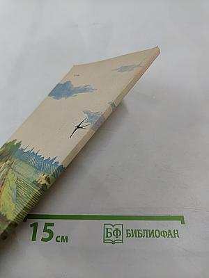 Мальчик с голубыми глазами