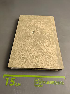 Дни и ночи Мурманска