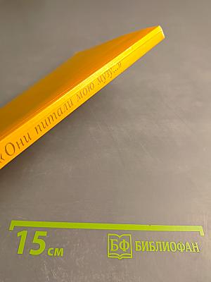 Они питали мою музу... Книги в жизни и творчестве писателей