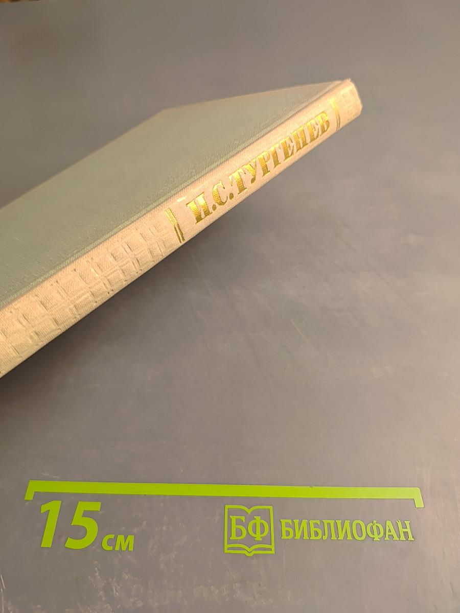 Собрание сочинений. Том седьмой: Повести и рассказы 1862-1870