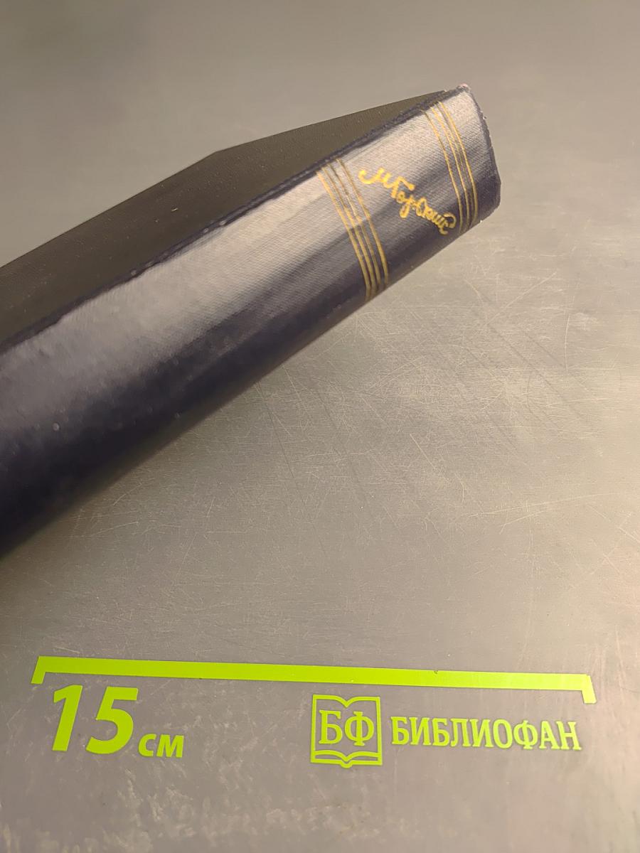 Сказки. Рассказы, Очерки. Том 10