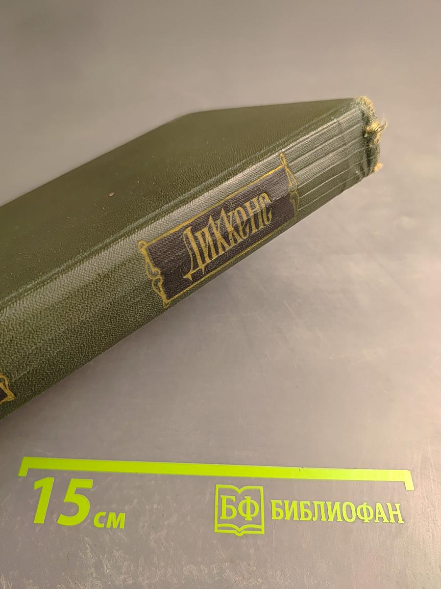 Собрание сочинений. Том десятый. Жизнь и приключения Мартина Чезлвита