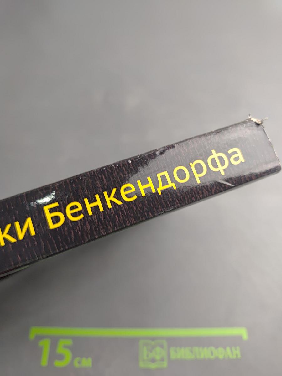 Записки Бенкендорфа 1812 год. Отечественная война. 1813 год. Освобождение Нидерландов
