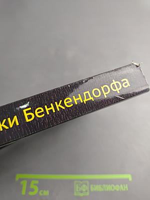 Записки Бенкендорфа 1812 год. Отечественная война. 1813 год. Освобождение Нидерландов