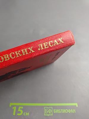 В августовских лесах