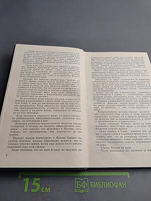 Ветка Сакуры