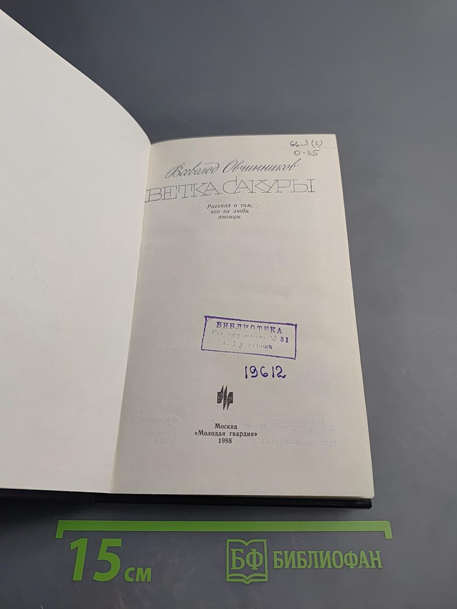 Ветка сакуры