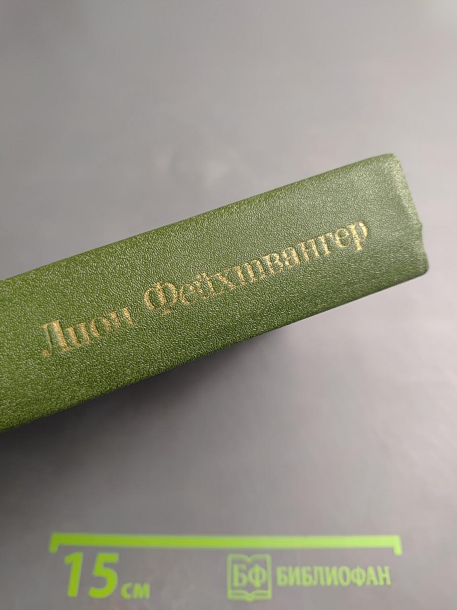 Безобразная герцогиня Маргарита Маульташ. Семья Опперман