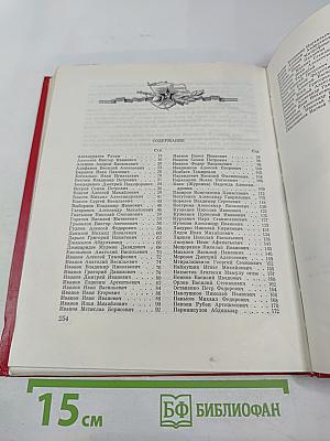 Солдатская слава. Книга шестая