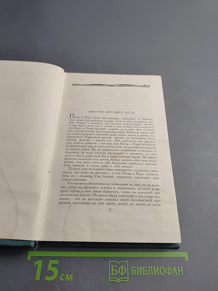 Рассказы (1908-1938). Стихи. Том 9