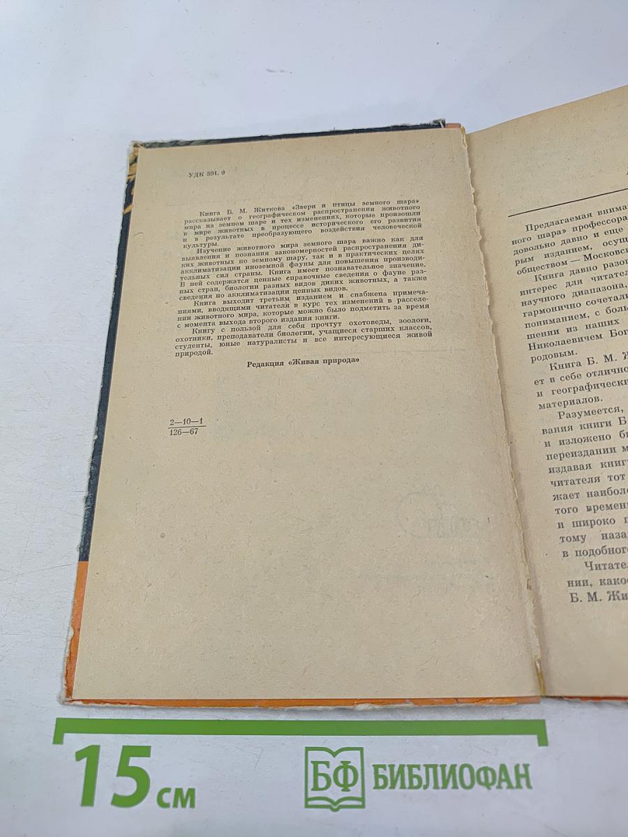 Звери и птицы земного шара