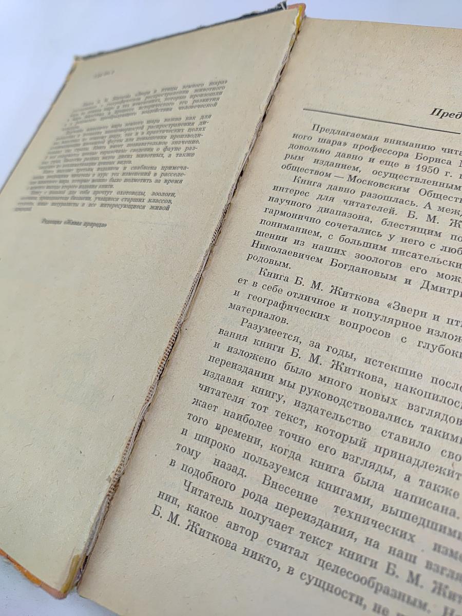 Звери и птицы земного шара