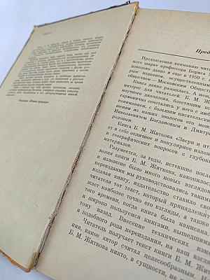 Звери и птицы земного шара