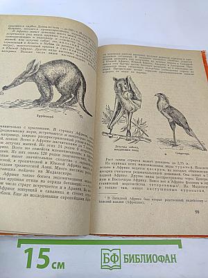 Звери и птицы земного шара