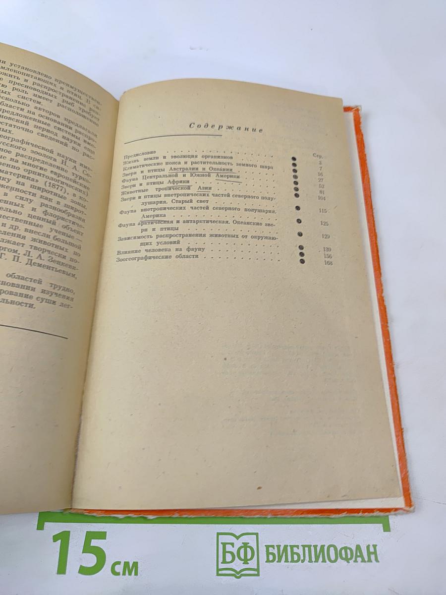 Звери и птицы земного шара