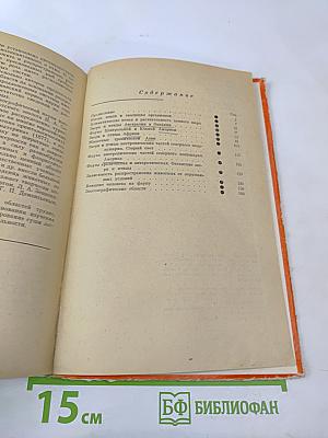 Звери и птицы земного шара