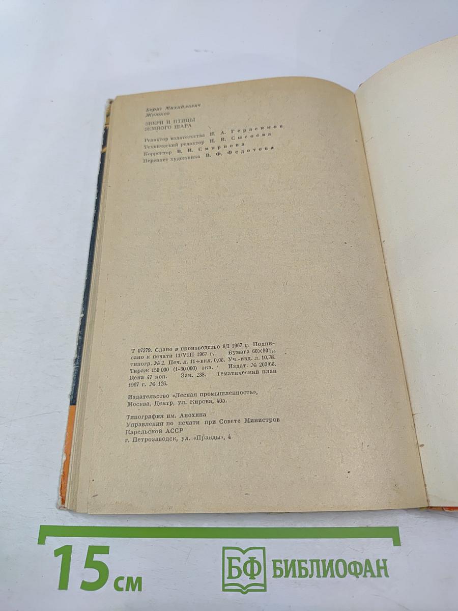 Звери и птицы земного шара