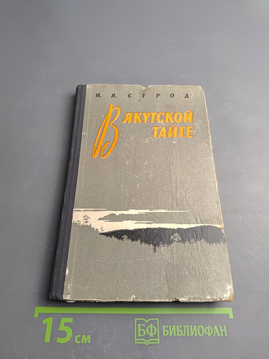 В Якутской тайге