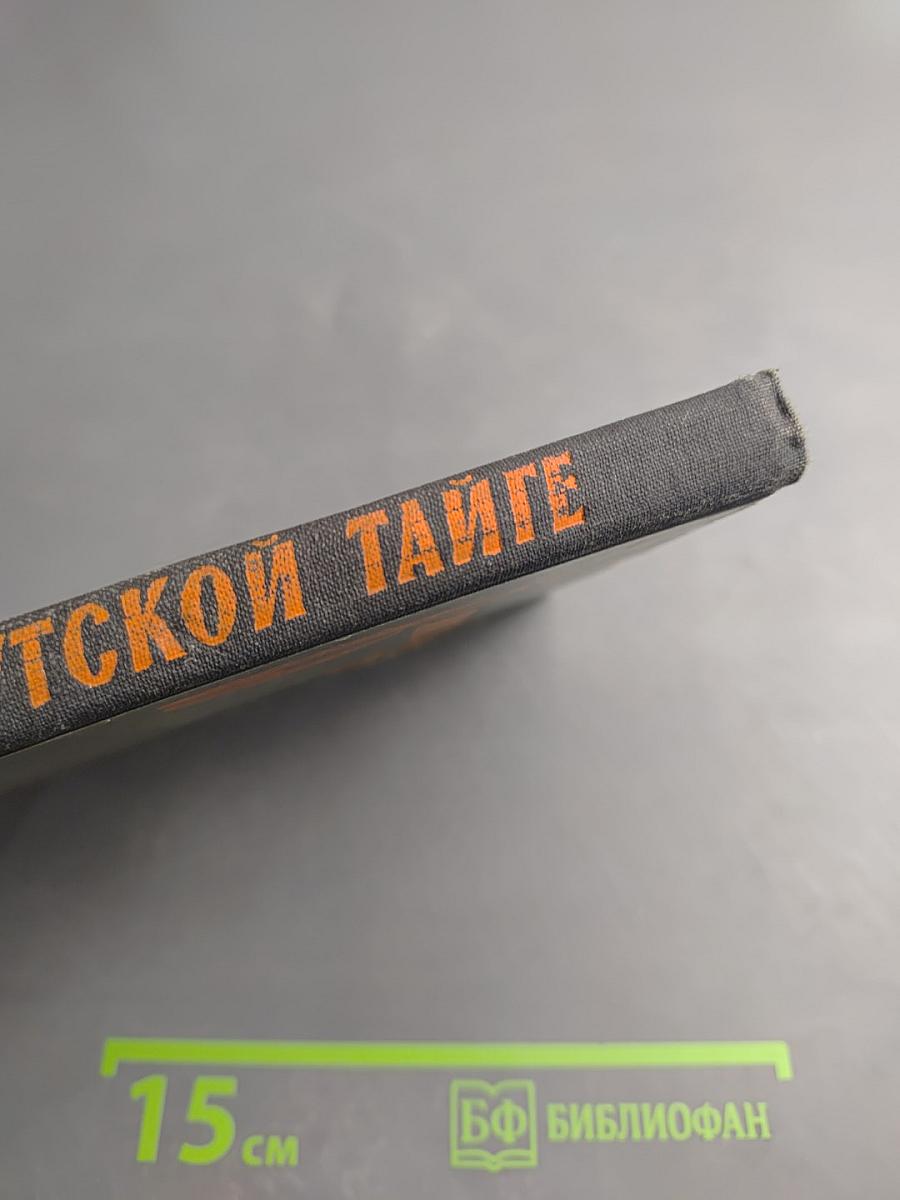 В Якутской тайге