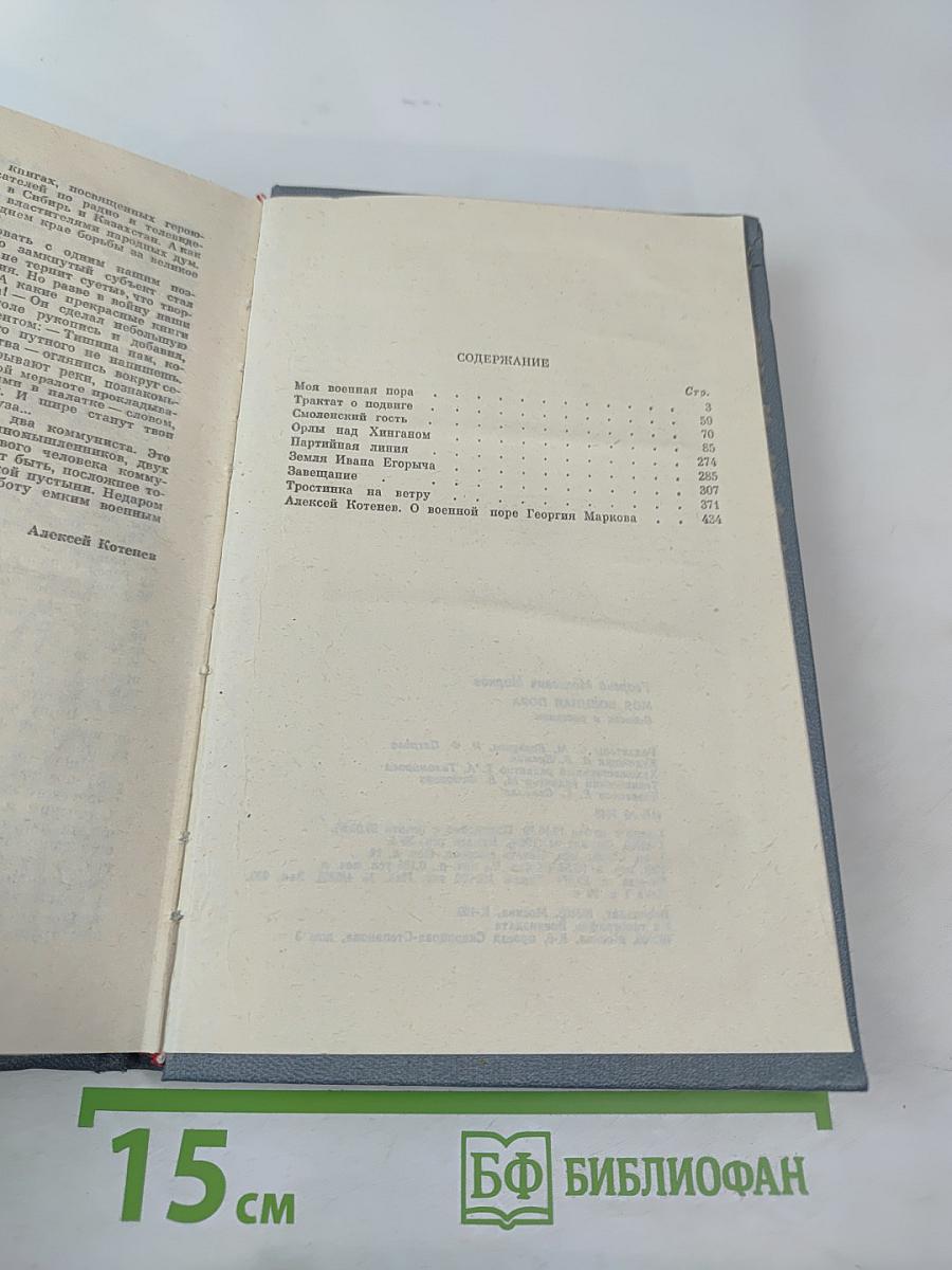 Моя военная пора