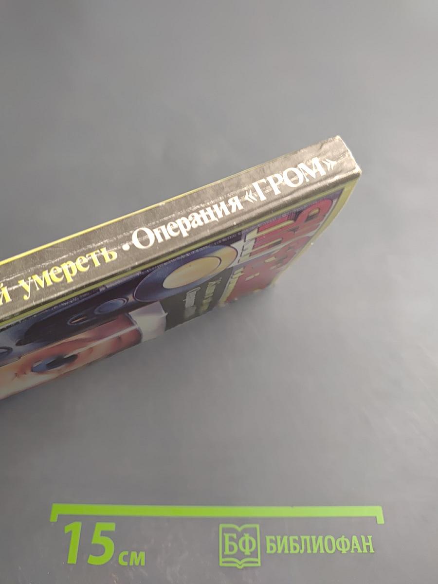 Живи и дай умереть. Операция «ГРОМ»