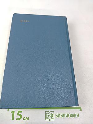 Далекий век